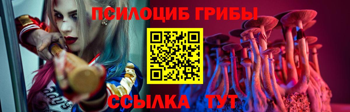 Псилоцибиновые грибы мицелий  Галлюциногенные грибы мухоморы  Димитровград  Вход с VPN 